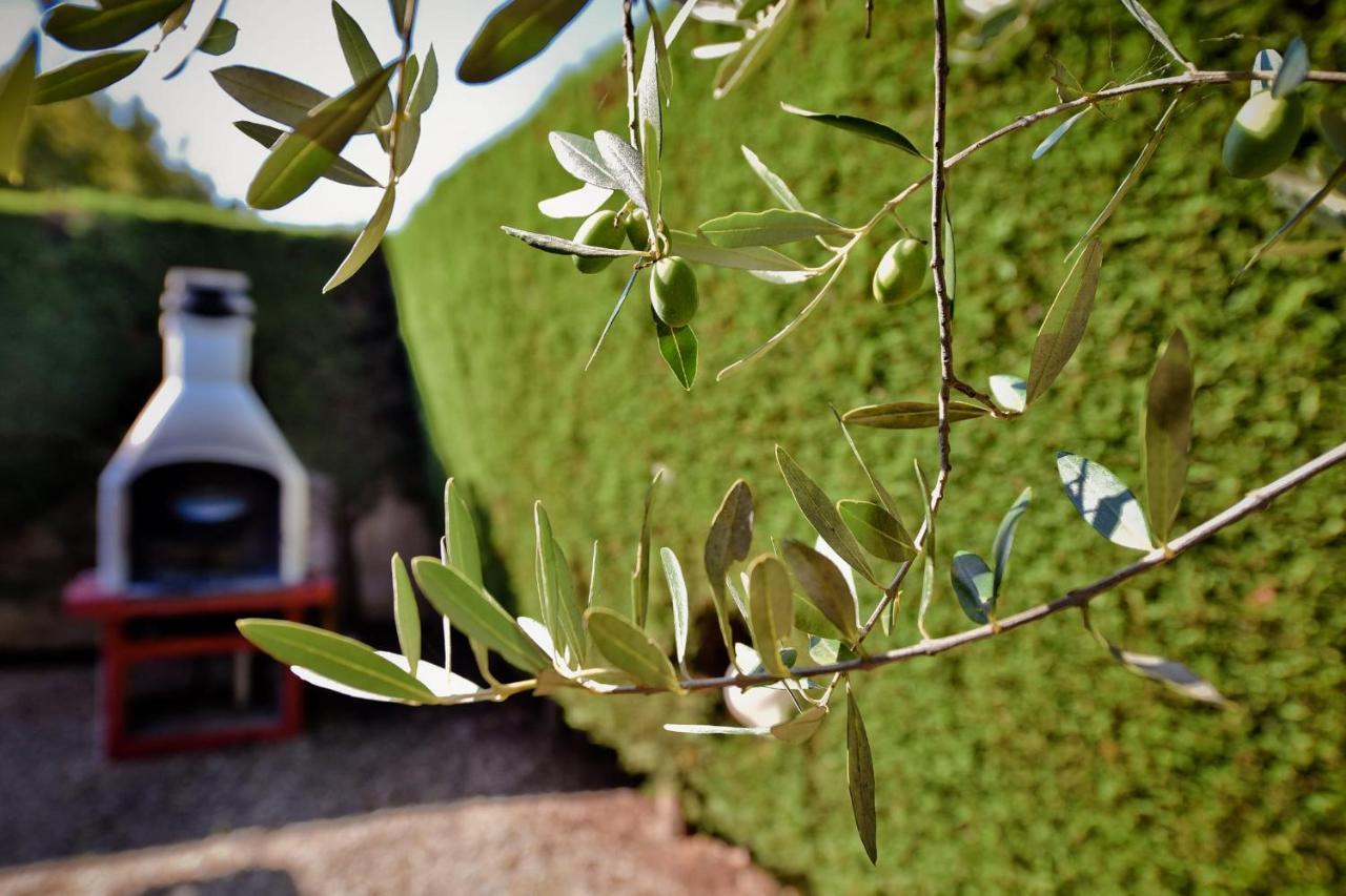 I Cinque Trulli With Swimming Pool Vila Martina Franca Exterior foto
